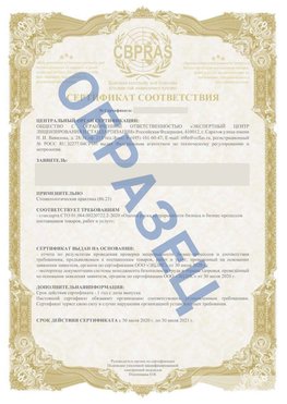 Образец Сертификат СТО 01.064.00220722.2-2020 Шумиха Сертификат СТО 01.064.00220722.2-2020 